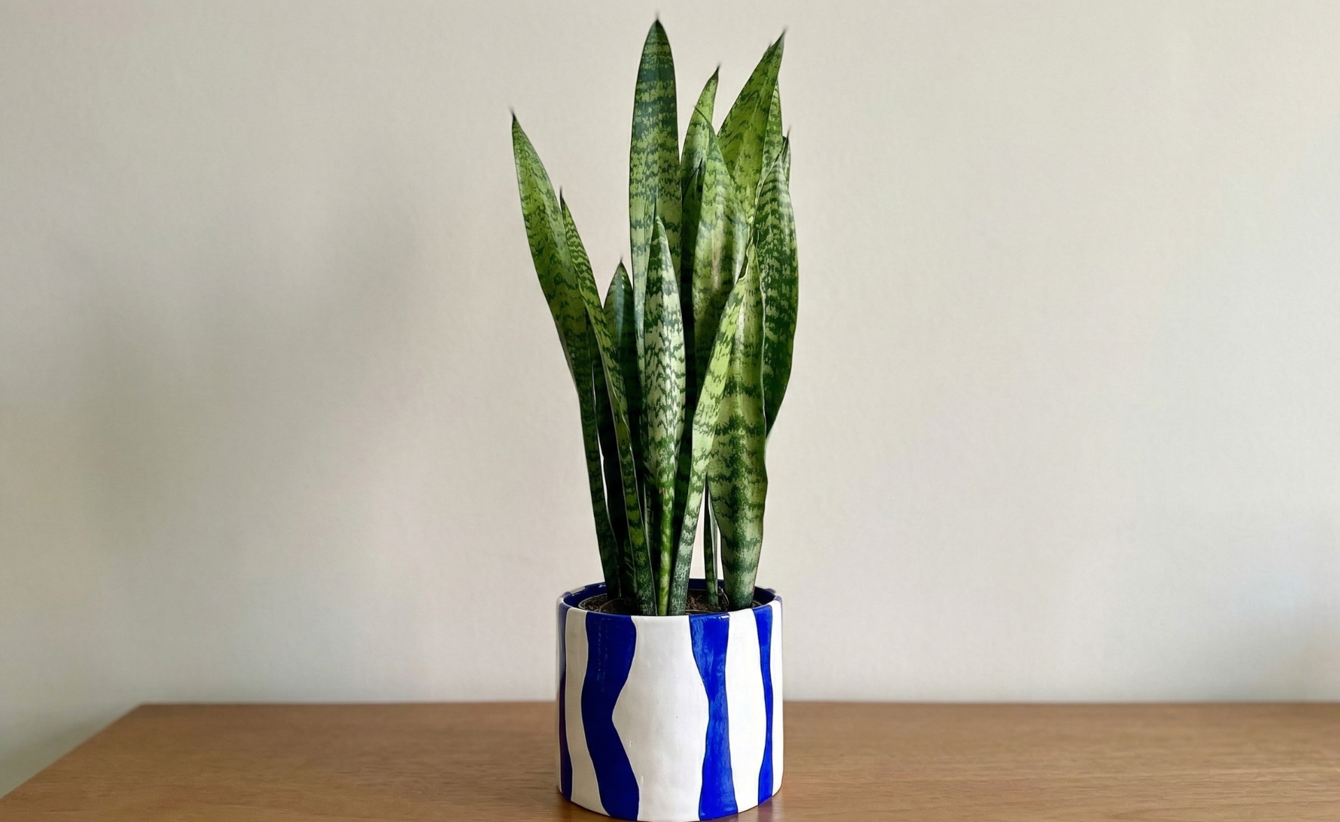 Cachepot Waves - Blue